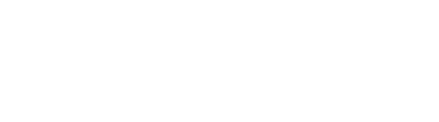logo final white